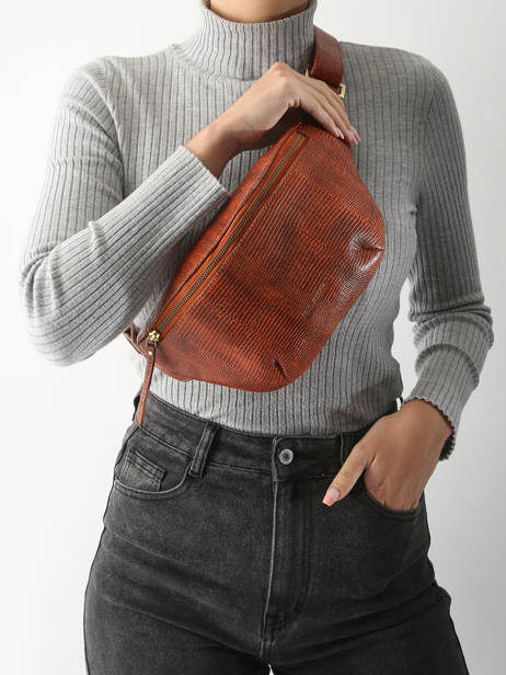 Heuptasje Paul marius Bruin la suite 1960 BANAN960 ander zicht 1